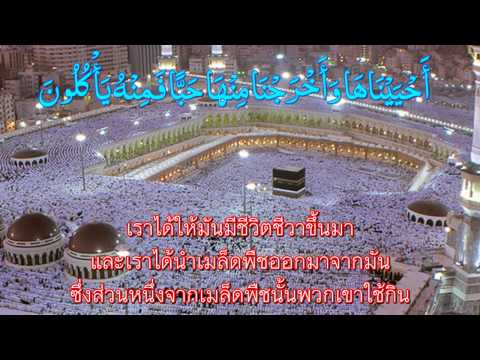 กลากผิวกว่าเจิม รีสอร์ททะเลตายสำหรับการรักษาโรคสะเก็ดเงิน