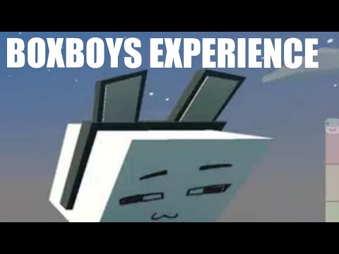 BoxBoys Experience