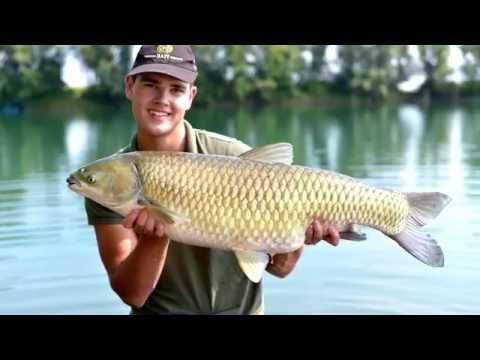 Gravel Pit Lake (Gyékényes) - Patrik Szorre, Team SBS