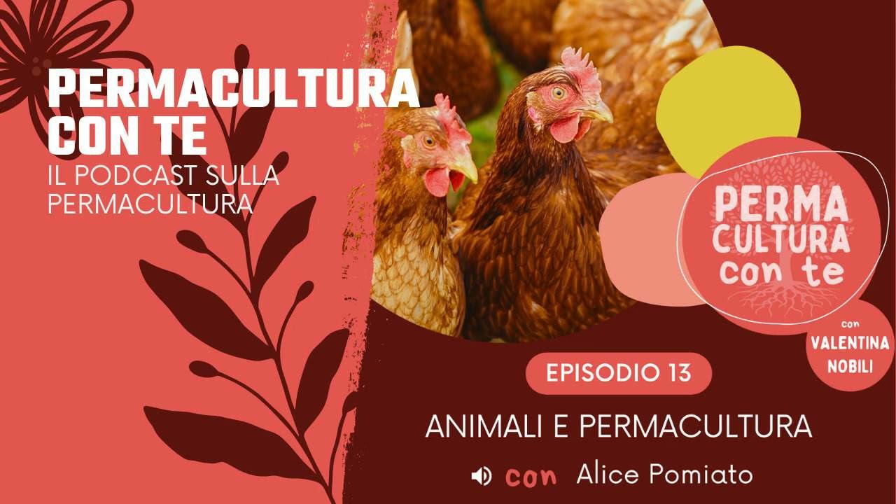 (EP13) Animalli e permacultura – con Alice Pomiato