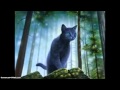Warrior Cats~ This Is War 