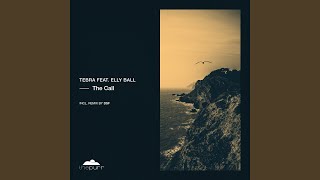 The Call (DSF Remix)