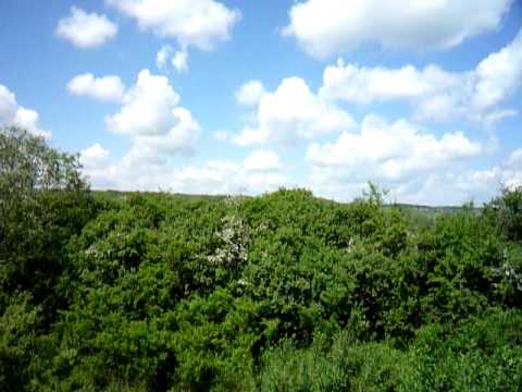 CFR: intre Cuci si Bogata Muresului