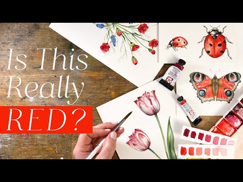 Choosing Reds for Your Watercolour Palette | Is Alizarin Crimson Really a Red?