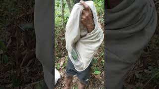 Download lagu BINARAGA KULI || PAK PUJI || OTOT KEKAR TANPA GYM #binaragaindonesia #kuliberkeringat #naturalmuscLe mp3