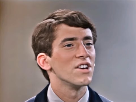 NEW 📀 This Diamond Ring - Gary Lewis & The Playboys {Stereo} 1965