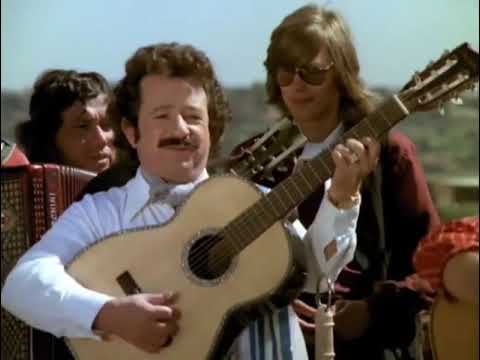 O GAÚCHO DE PASSO FUNDO - TEIXEIRINHA