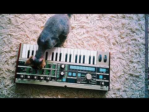 Maran Project - Graffiti Infinit ( Original Mix ) ( modarchive.org )