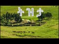 What A Beautiful Country The Best Ethiopian Instrumental Classical Music Part 3 1 Hr 2025