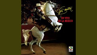 El Viejo Joven (En Vivo)