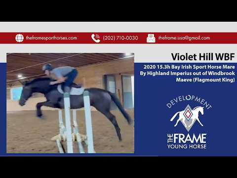 Violet video 2