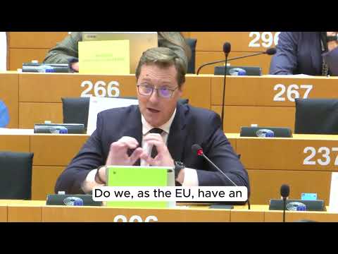 Severna Makedonija, BiH in Srbija – ali EU še verjame v širitev?