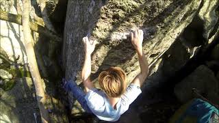 Buddha Rhubarb Butter Assis, 8A   Boxvik