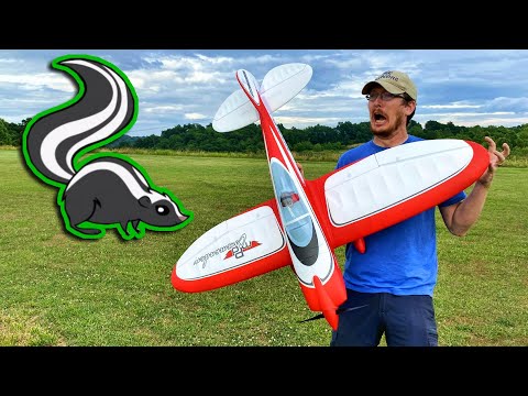 OH NEIN!! DA IST EIN STINKTIER!!! - Fliegen mit dem E-flite Commander RC-Flugzeug - TheRcSaylors