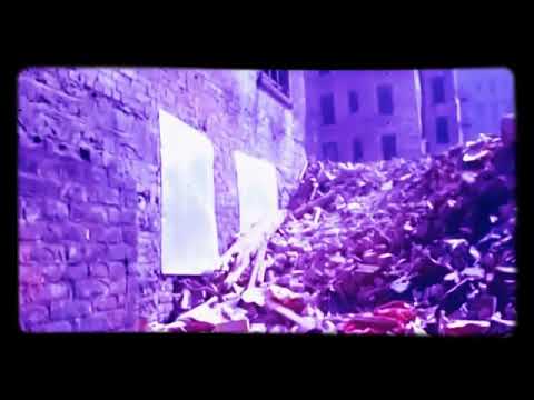 Roc Marciano & Melanin 9 - White Russian