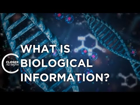 What is Biological Information? | Closer To Truth