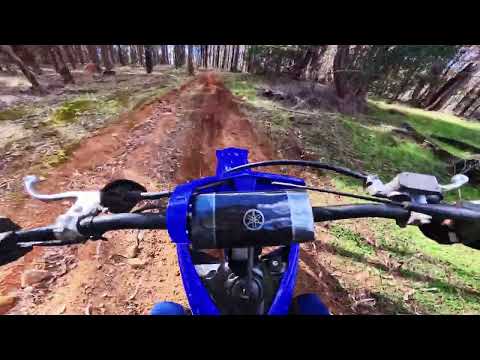 YZ125 Full Trail Ride 4K (Raw Sound)