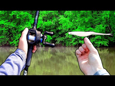 Fluke ONLY Day of Bass Fishing!