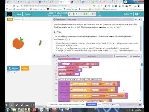 CS Discoveries Unit 3 Lesson 11 Conditionals