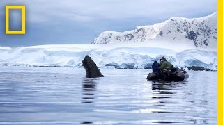 Trailer | Continent 7: Antarctica