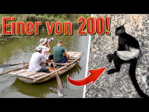 Wir entdecken BEDROHTE TIERE & die atemberaubende Natur Vietnams!! 🇻🇳