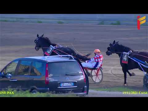 II Corsa del 19 novembre 2021 - 4 Anni - Metri 1600