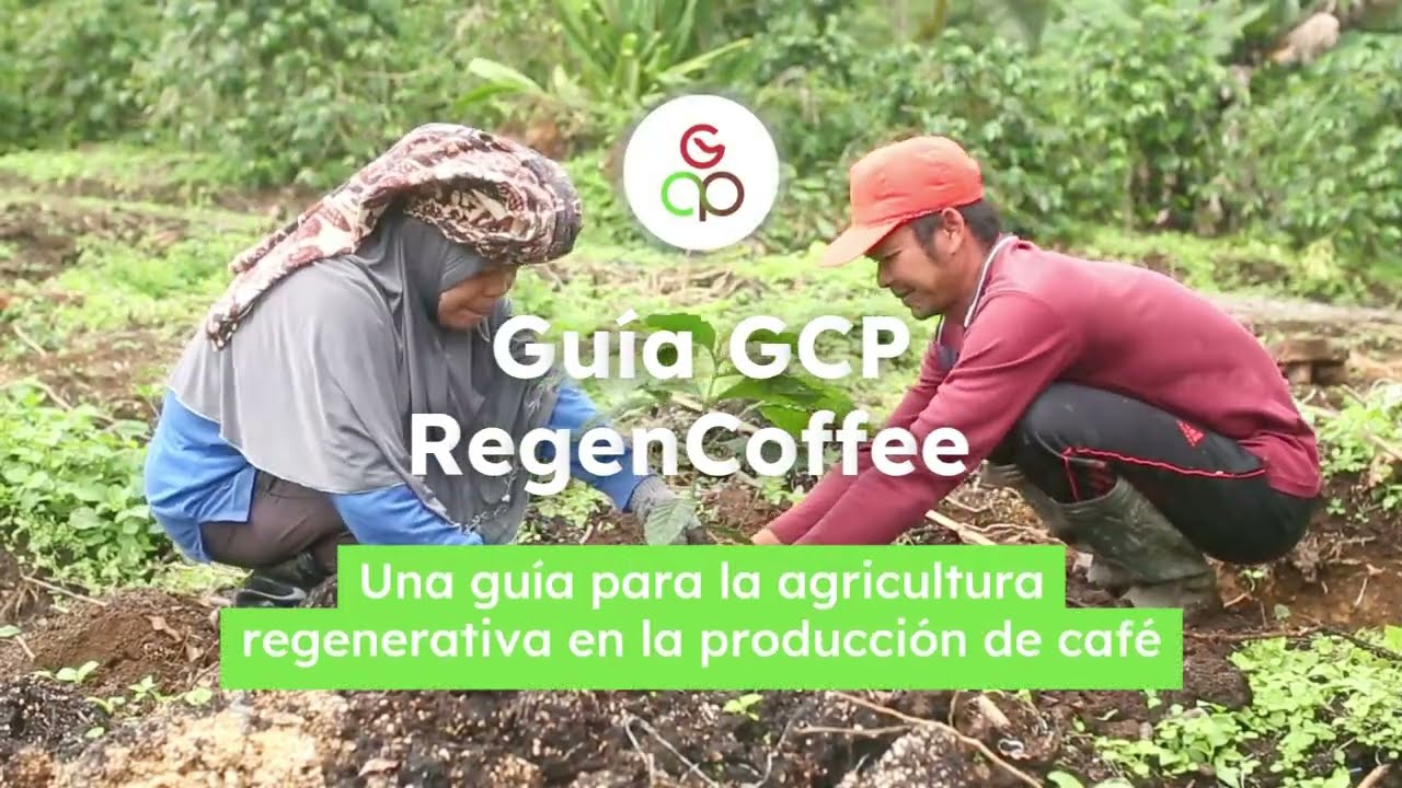 Introducción a GCP RegenCoffee – Una guía para la agricultura regenerativa en la producción de café