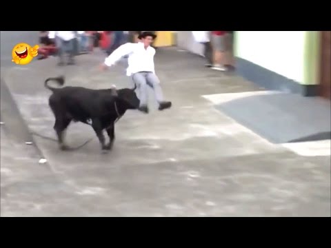 Bullfighting Festival | Top Funny Videos 2017 | ALL TIME FUN