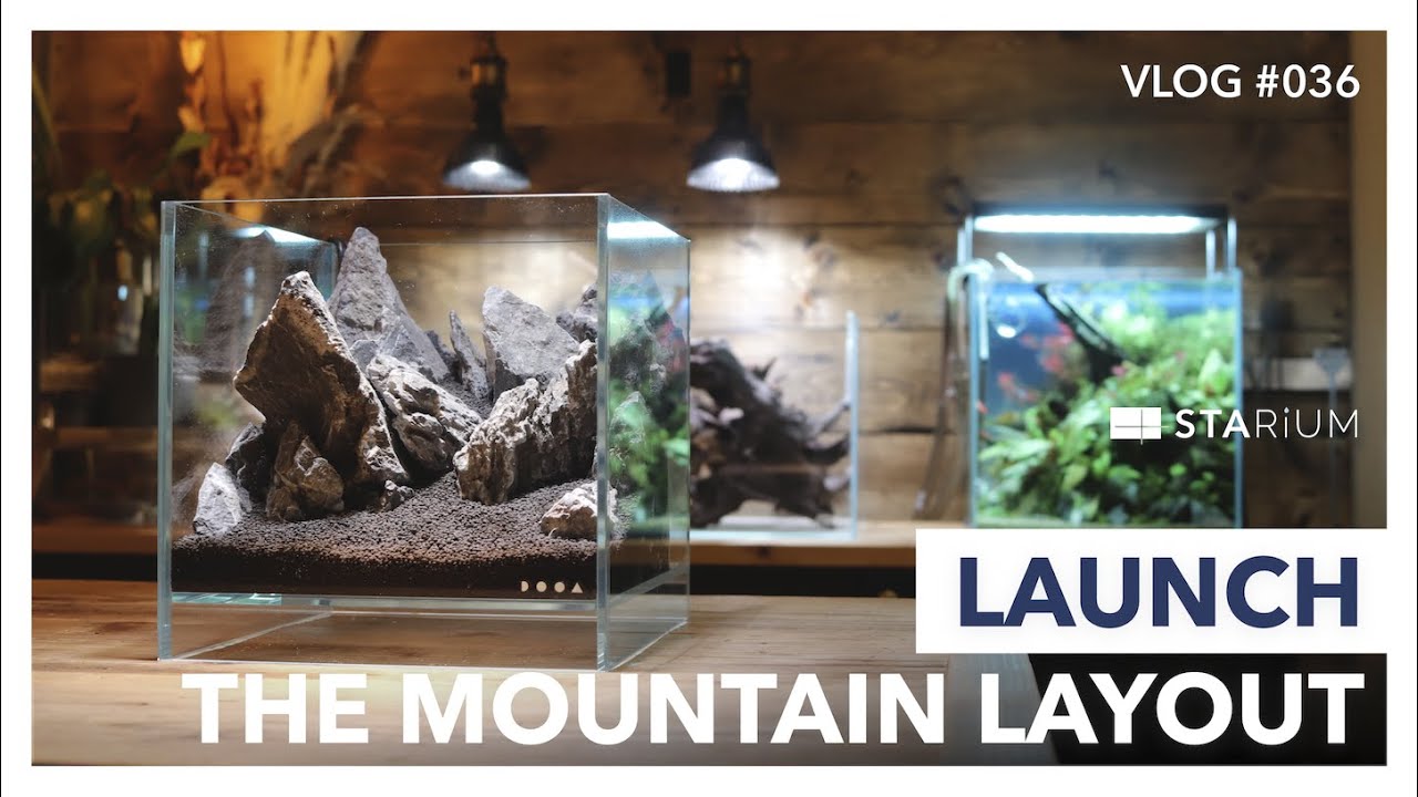 【アクアリウム】フィルターを上手く隠す山岳レイアウト水槽を立ち上げ/DOOAネオグラスエア/Launch a mountain layout aquarium/vlog #028+#036