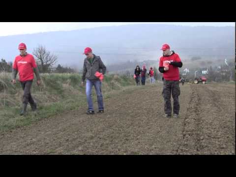 EKOCENTRUM ICPPC - Akcja "Siejemy przyszłość"