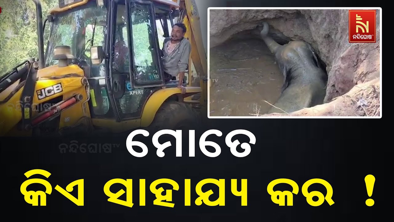 କୂଅରେ ଗଳିପଡିଲା ହାତୀ ଛୁଆ ; ଉଦ୍ଧାର କାର୍ଯ୍ୟ ଜାରି ..