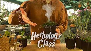 A Sleepy Herbology Class at Magic School | ASMR Roleplay