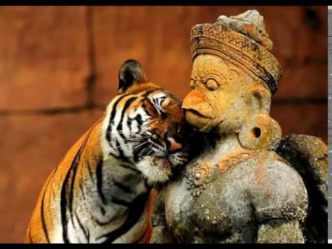 Moody Sanchez - After Laughter (boombap delight)