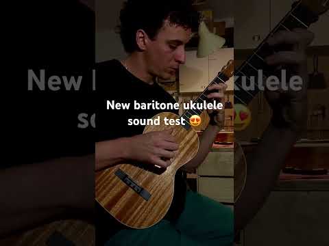 Waiz Baritone ukuele Classic series image 7