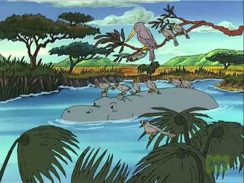 Pepe Shows the Red-billed Oxpeckers his Circus Tricks