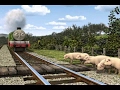 Thomas Friends Latinoamérica La Buena Obra De Henry