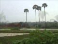 Vayal Varambil