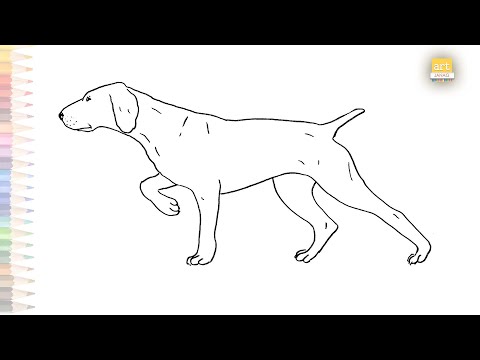 German Shorthaired Pointer dog drawing | How to draw German Shorthaired Pointer step by step | #art
