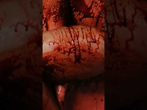 Tiffany Walker is a man eater #halloween