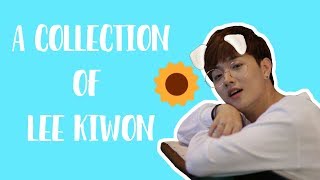 A Collection of Lee Kiwon