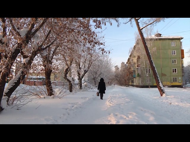 Аварийное дерево убрать некому