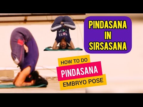 How to do Pindasana | Embryo Pose in Ashtanga Yoga’s Closing Sequence Pindasana in headstand