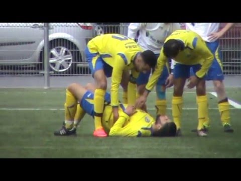 Samenvatting Veluwezoom - EZC '84