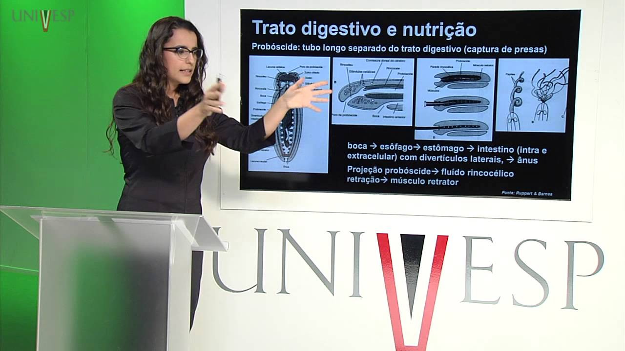 Zoologia de Invertebrados - Aula 8 - Filo Nemertea