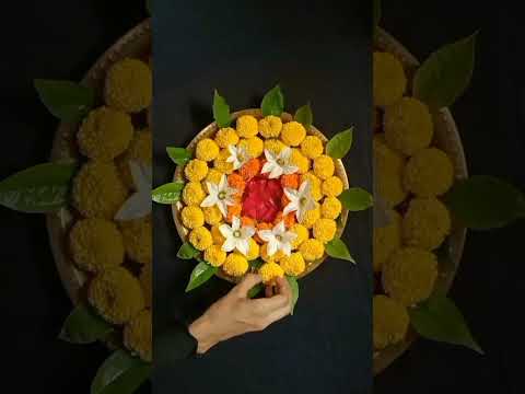 RANI GHOSH  and RANI GHOSH 