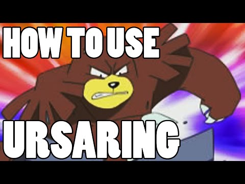 How To Use: Ursaring! Ursaring Strategy Guide ORAS / XY - BEAR