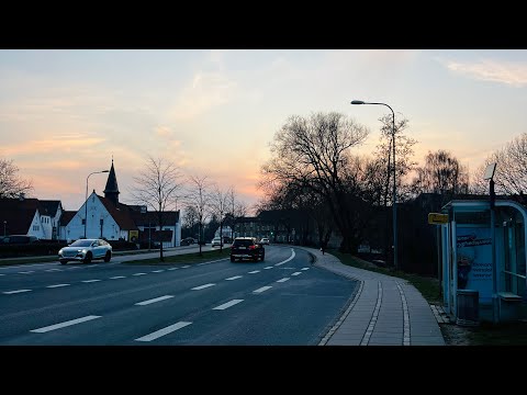  A school day-Walking around the city of Haderslev(Denmark)-Visiting the library