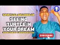Spiritual Meaning Of Turtle In The Dream