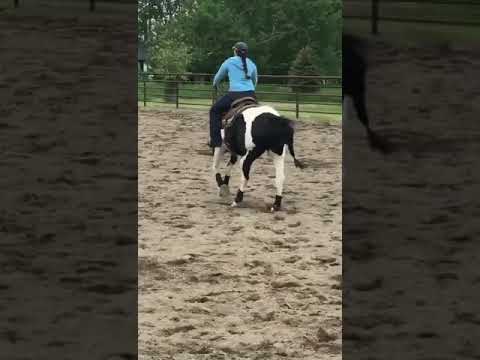 Les Vogt clinic bucking horse