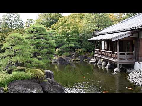 aménagement-jardin-piscine-spots-Rolling-Stone-Landscapes